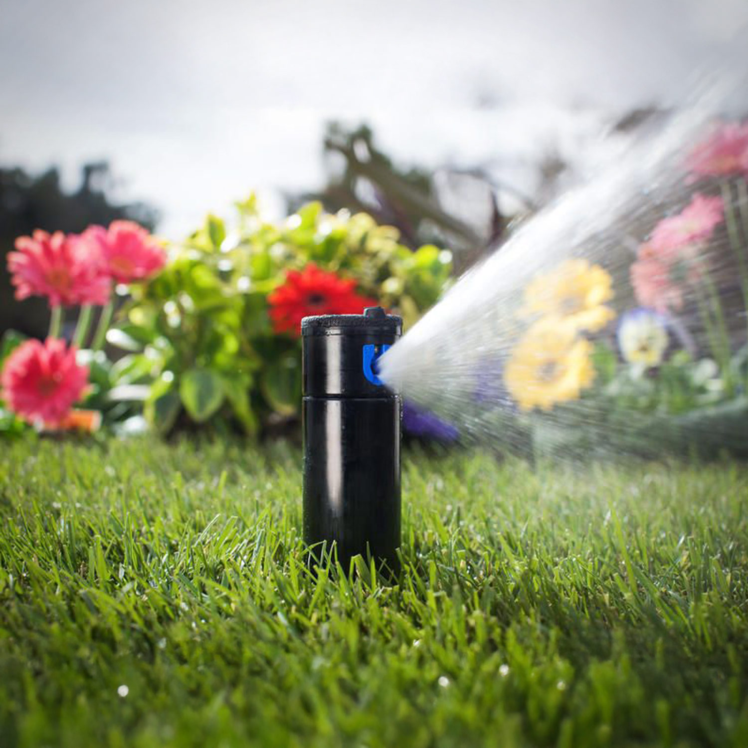 Aspersor hunter pgp-10cm