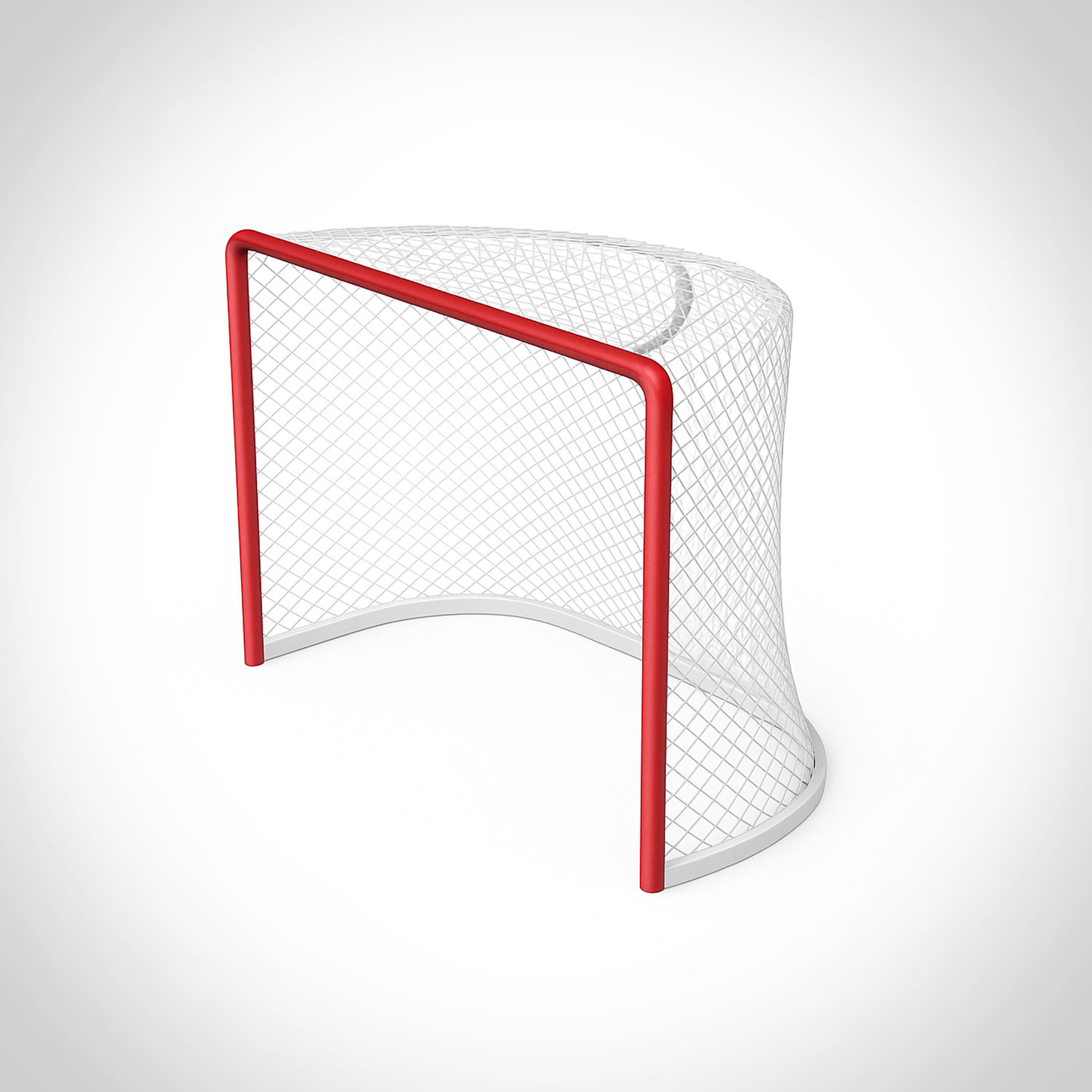 Xarxa hoquei gel i hoquei patins