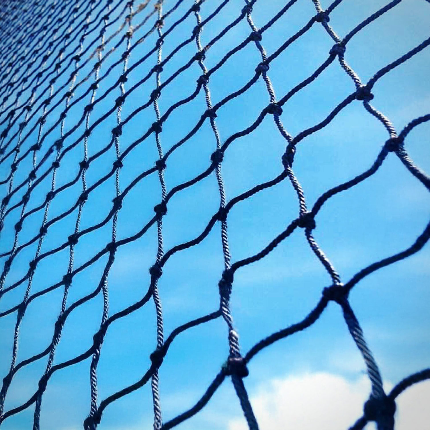 Xarxa de protecció esportiva - Imatge 2